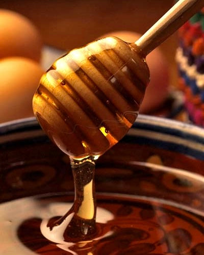 Miel d’été forêt toutes fleurs - 250g