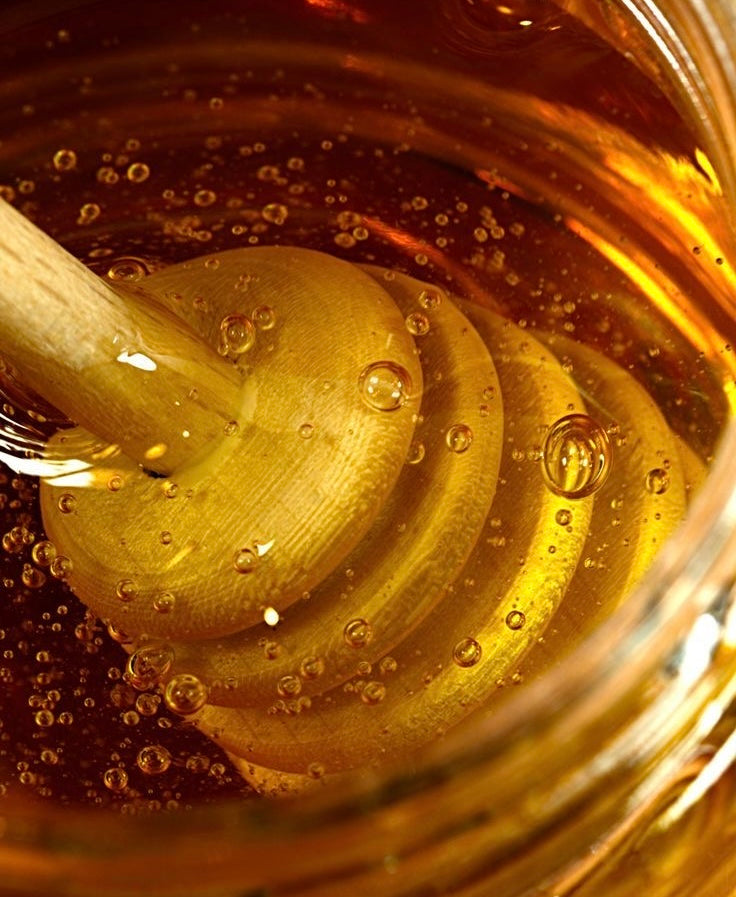 Miel d’été forêt toutes fleurs - 250g